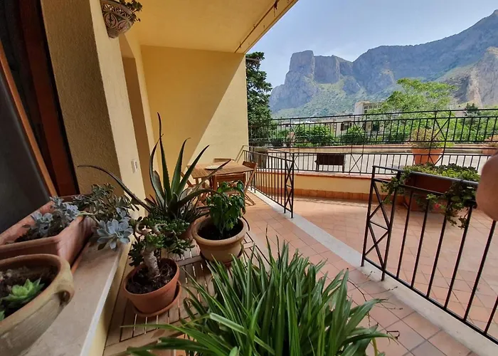 La Del Cedro Palermo